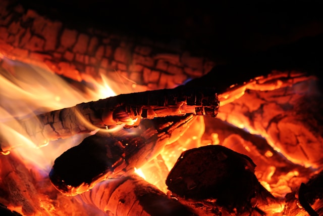 Indonesian Wood Charcoal, abadi charcoal